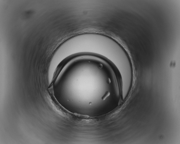 X0000115270057200911201738