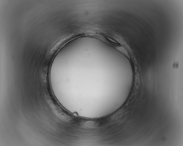 X0000115270058200911201738