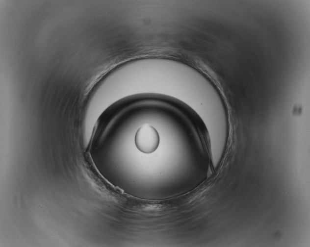 X0000115270059200911201738