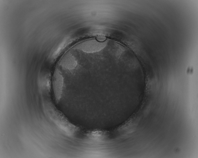 X0000115270064200911201738