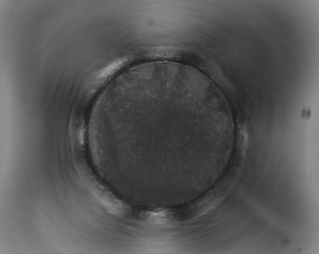 X0000115270068200911201738