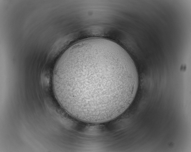 X0000115270072200911201738