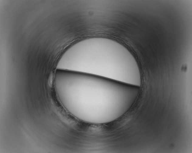 X0000115270076200911201738