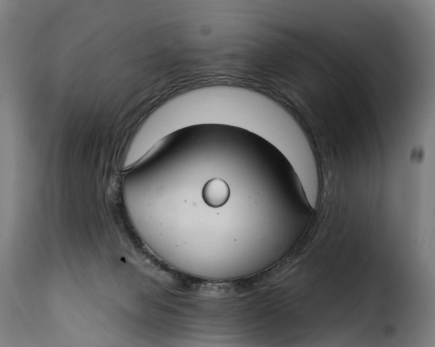 X0000115270077200911201738