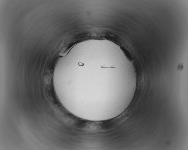 X0000115270078200911201738