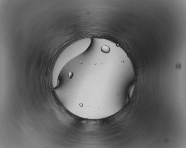 X0000115270081200911201738