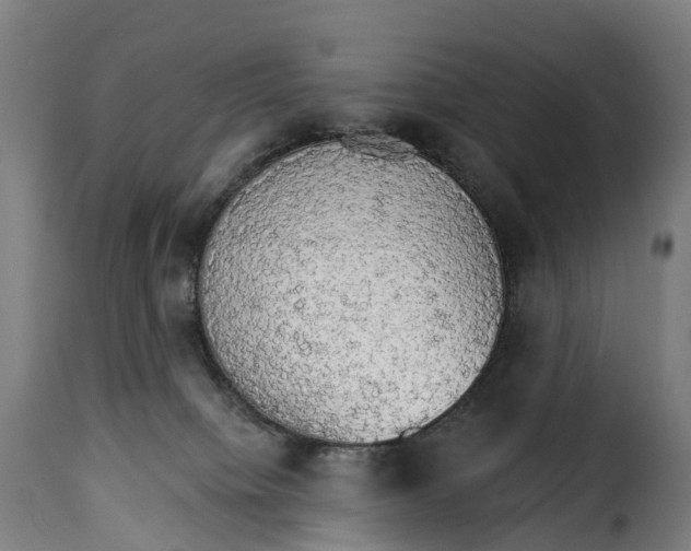 X0000115270084200911201738