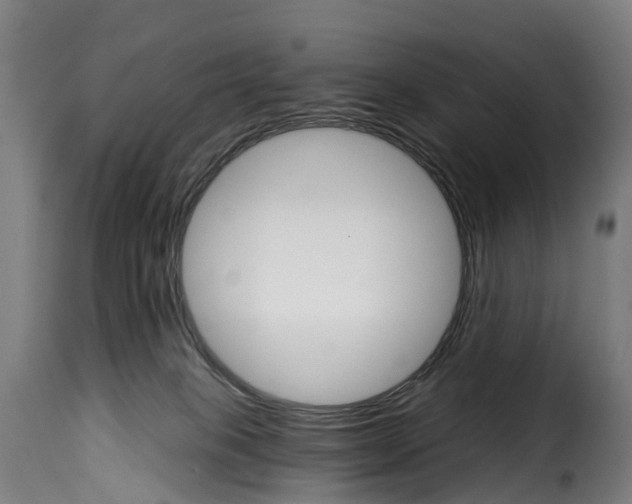 X0000115270085200911201738