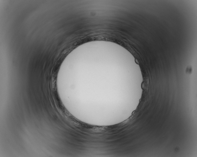 X0000115270086200911201738