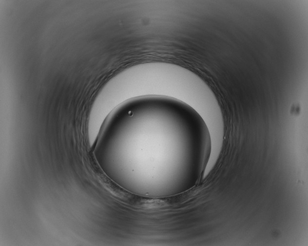 X0000115270087200911201738