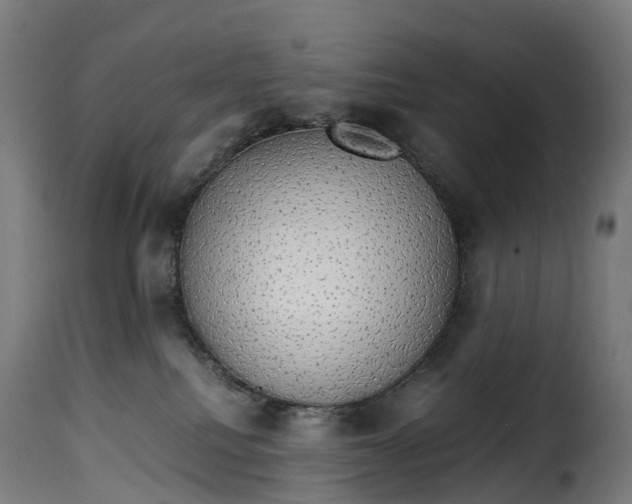 X0000115270088200911201738