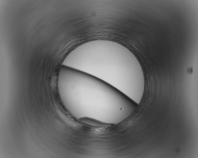 X0000115270092200911201738