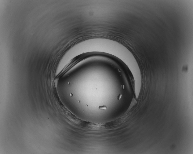 X0000115270093200911201738