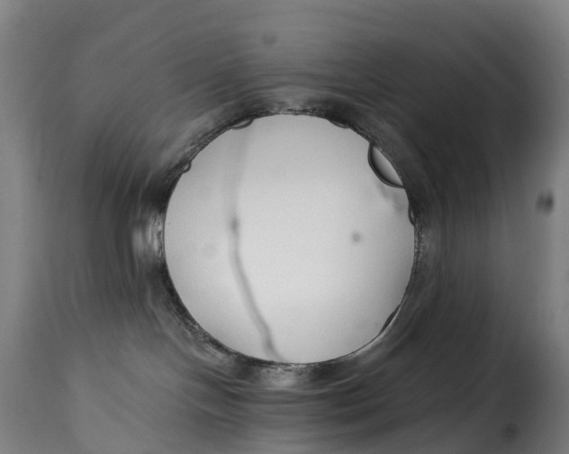 X0000115270094200911201738