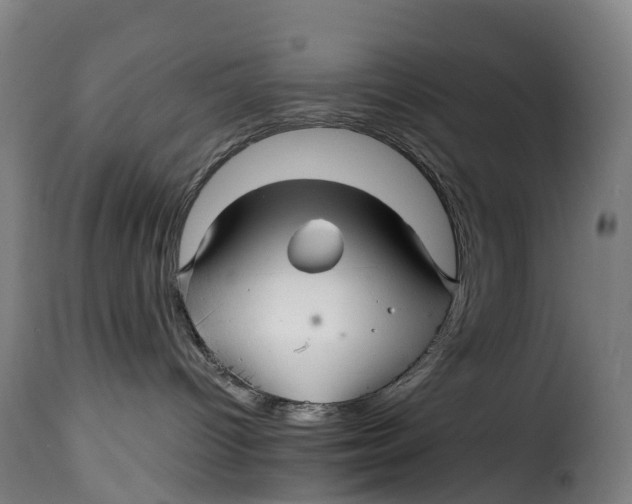 X0000115270096200911201738