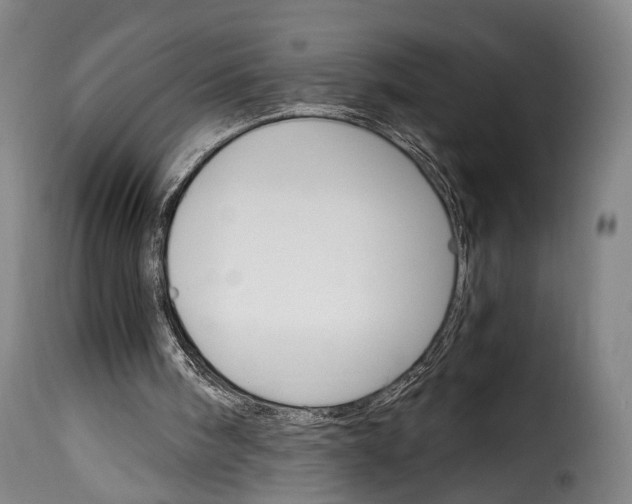 X0000115270098200911201738