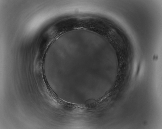 X0000115270099200911201738