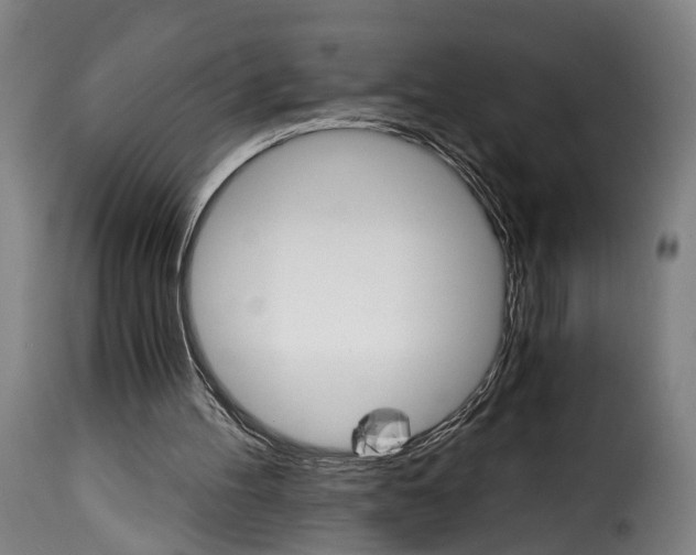 X0000115270100200911201738