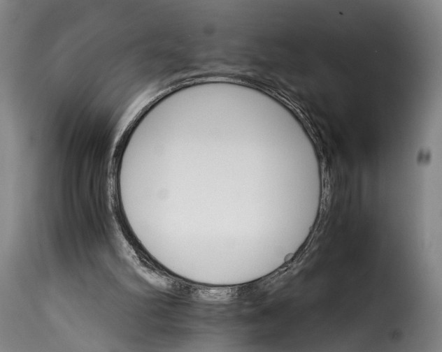 X0000115270102200911201738