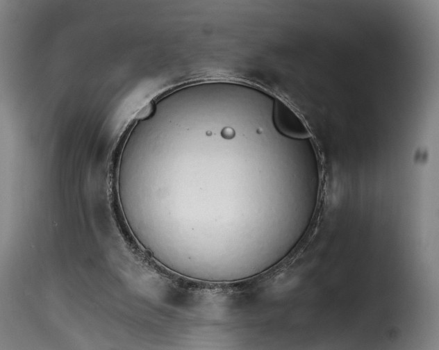 X0000115270103200911201738