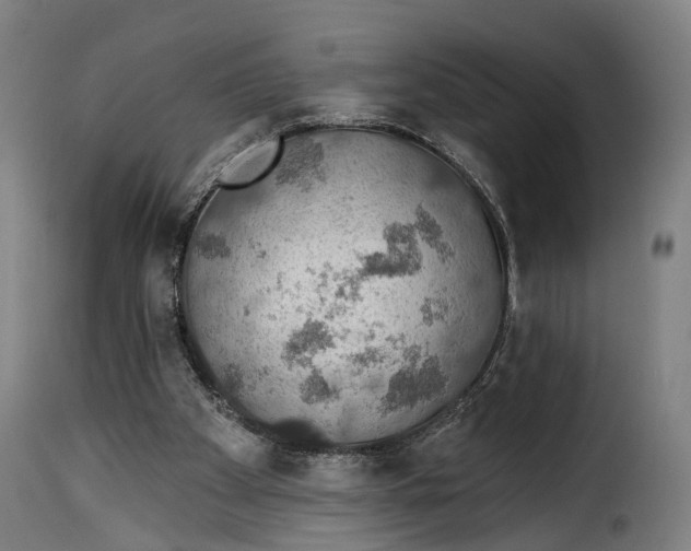 X0000115270105200911201738