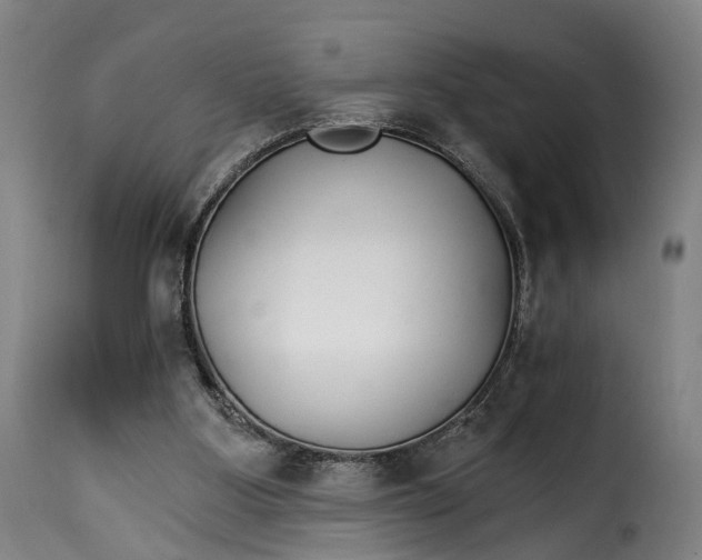 X0000115270107200911201738