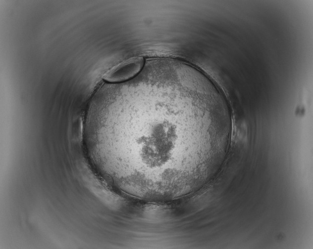 X0000115270109200911201738