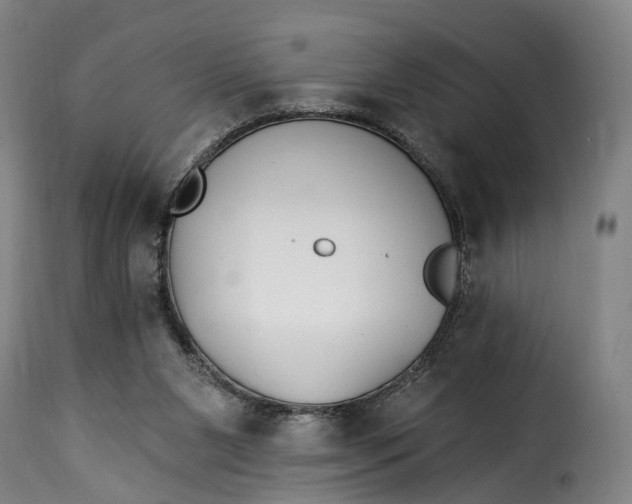 X0000115270111200911201738