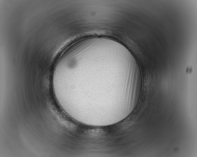 X0000115270112200911201738