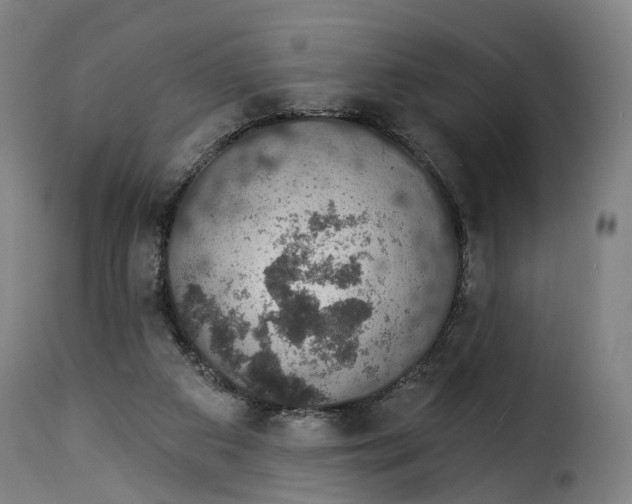 X0000115270113200911201738