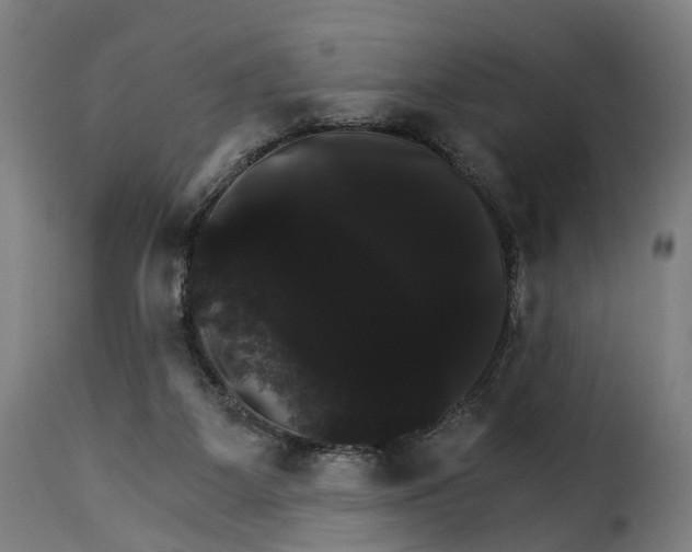 X0000115270115200911201737