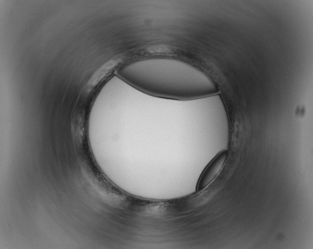 X0000115270116200911201737