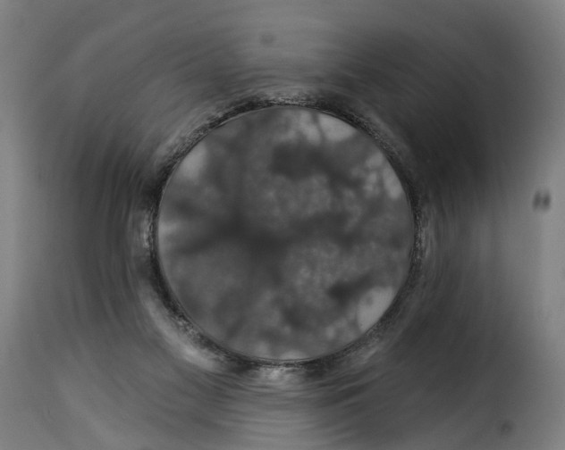 X0000115270117200911201737