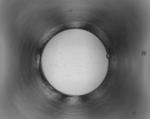 X0000115270118200911201737