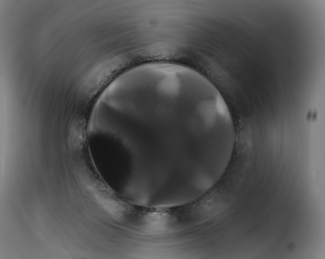 X0000115270119200911201737