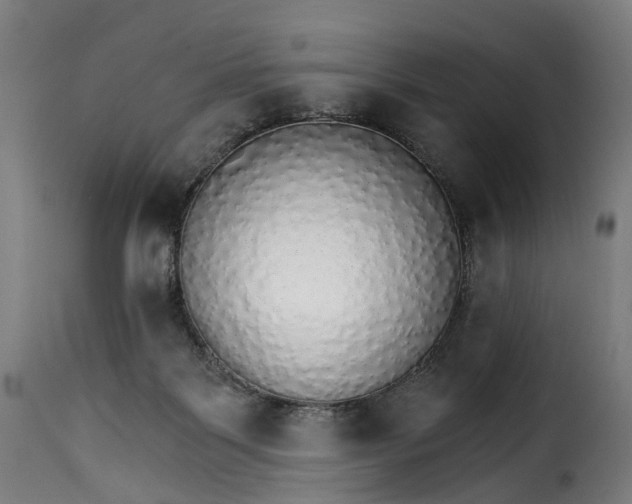 X0000115270123200911201737