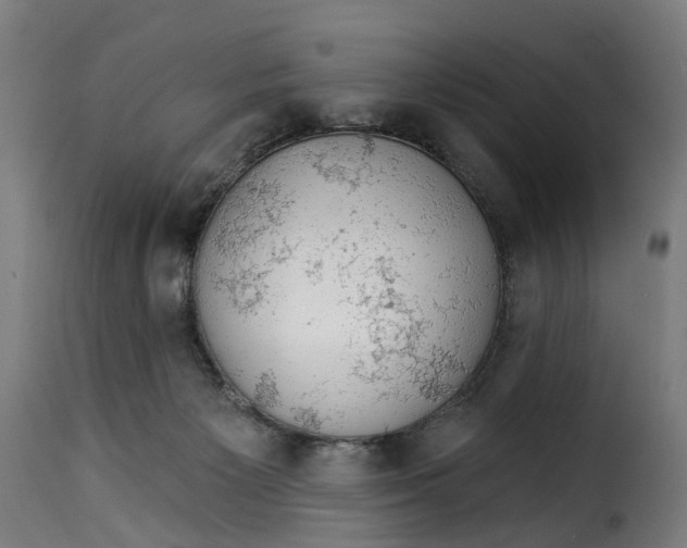 X0000115270125200911201737