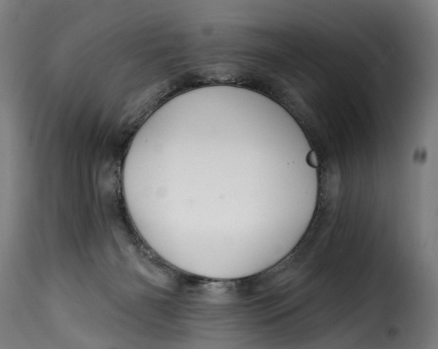 X0000115270126200911201737