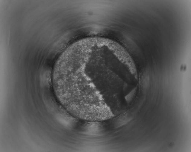 X0000115270127200911201737