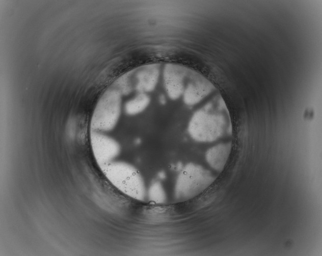 X0000115270129200911201737