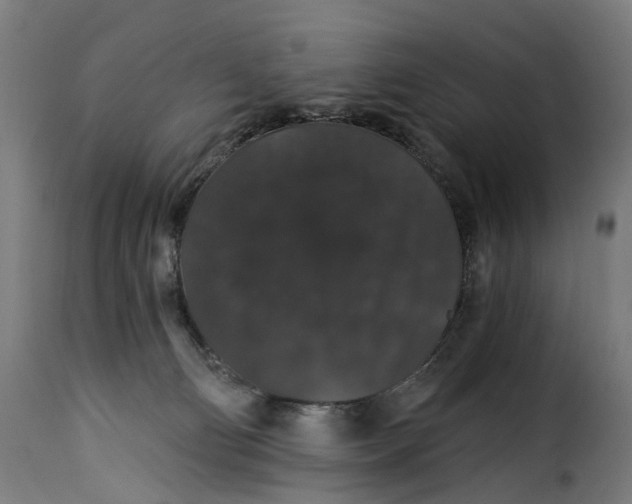 X0000115270130200911201737