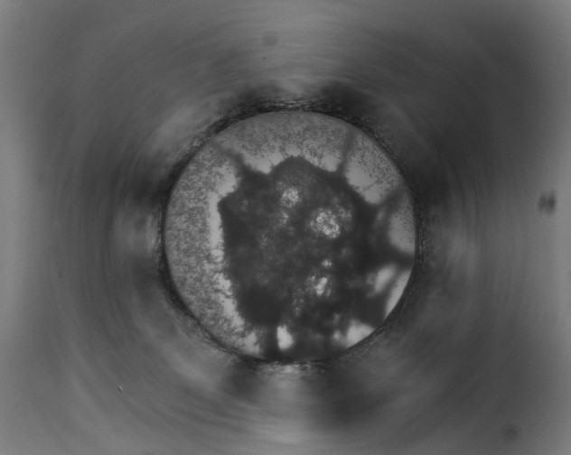 X0000115270131200911201737