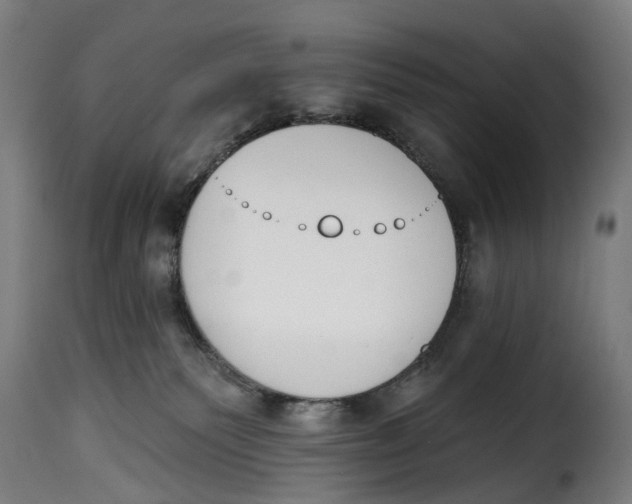 X0000115270135200911201737