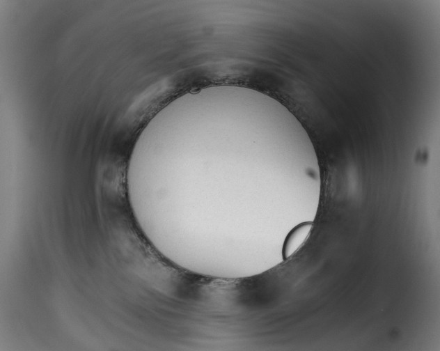 X0000115270138200911201737