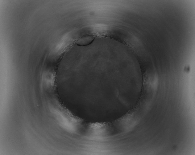 X0000115270139200911201737