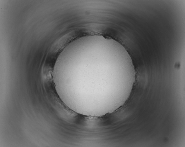 X0000115270141200911201737