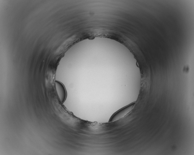 X0000115270142200911201737