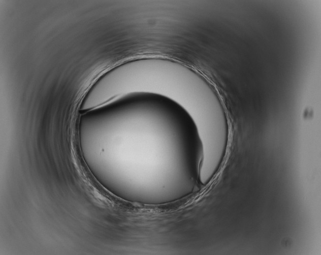 X0000115270145200911201736