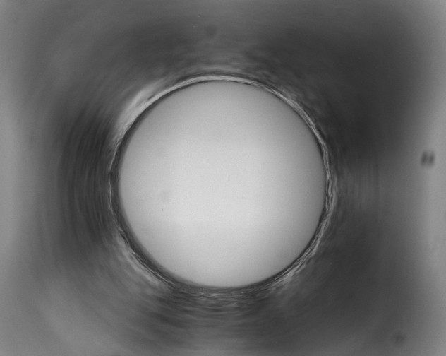 X0000115270151200911201737