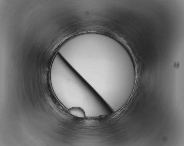 X0000115270154200911201737